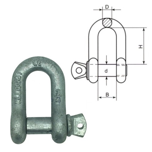 Dee Shackle | Galvanised | Steelgear